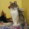 Отзыв от Олеся Воронина